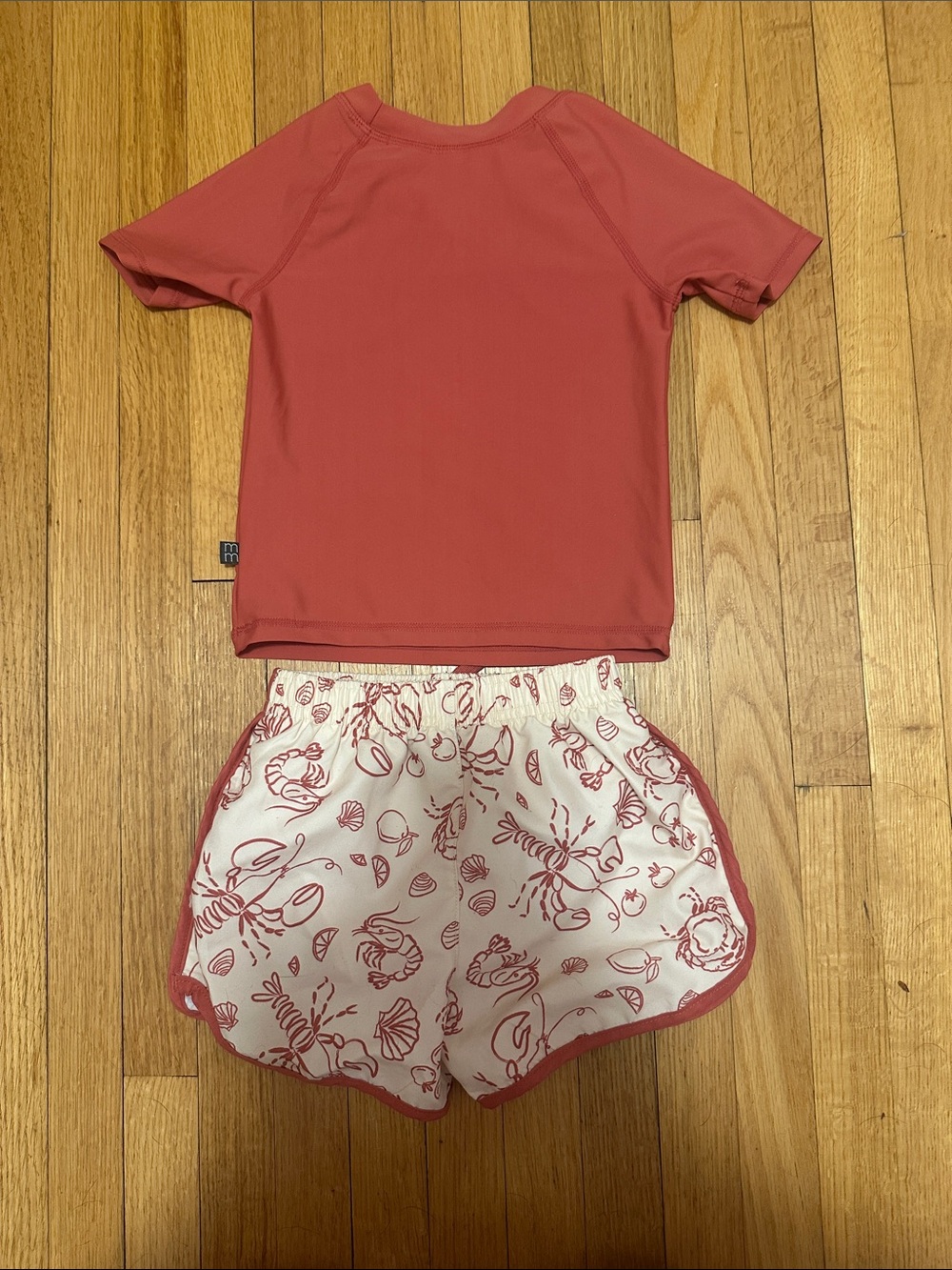 Modern Moments toddler Red Rash Guard Swim Set with Shell-Print Shorts - Picture 2 of 2